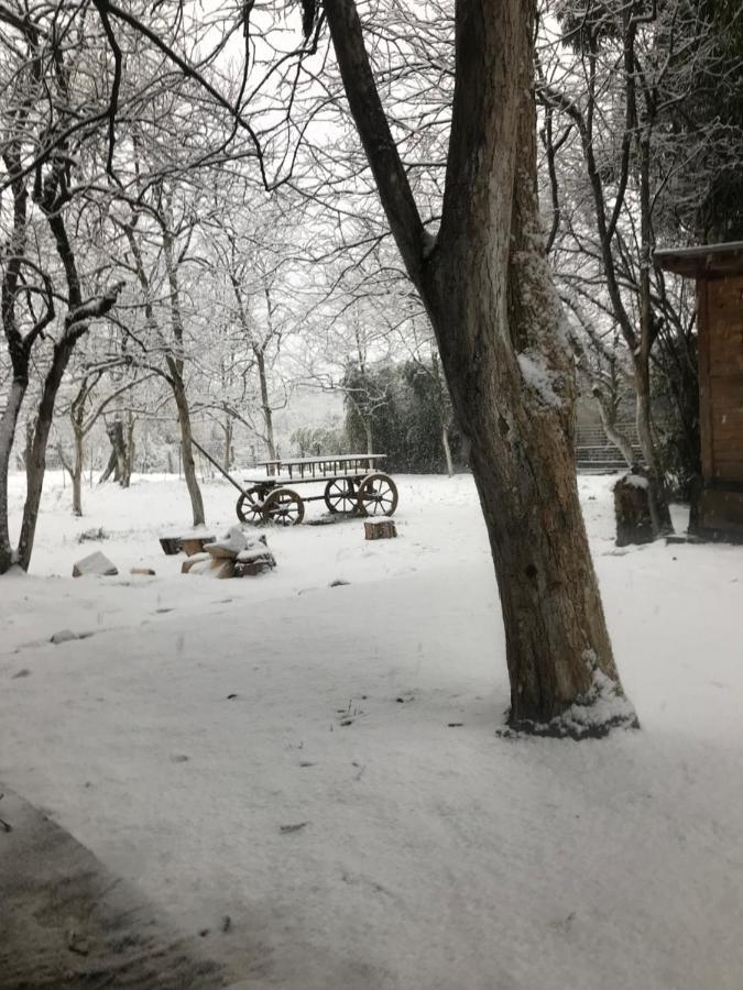 Бунгало Kheivani Exteriér fotografie